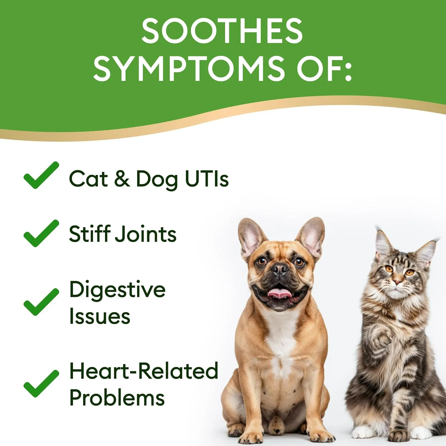 15-in-1 Liquid Multivitamin for Dogs & Cats - Glucosamine for Dogs, Cranberry, Vitamin B Complex - Balanced Ingredients for Joint, Digestive, Immune, Skin & Coat and UTI Support - US Made - 2.0Fl Oz