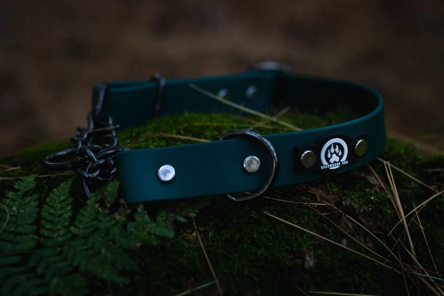 1" Waterproof BioThane Adjustable Martingale Collar