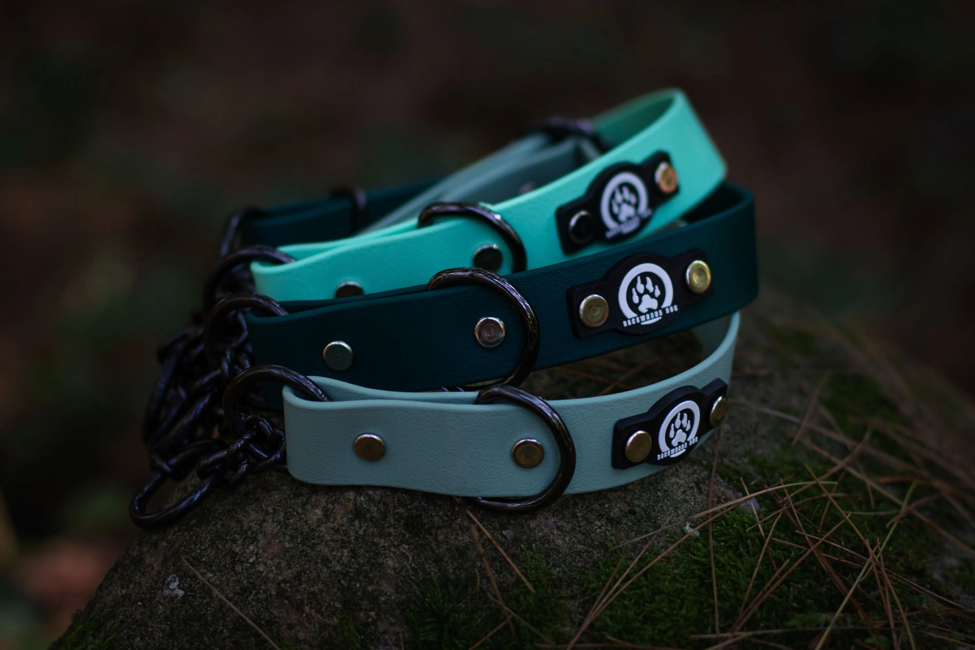 1" Waterproof BioThane Adjustable Martingale Collar