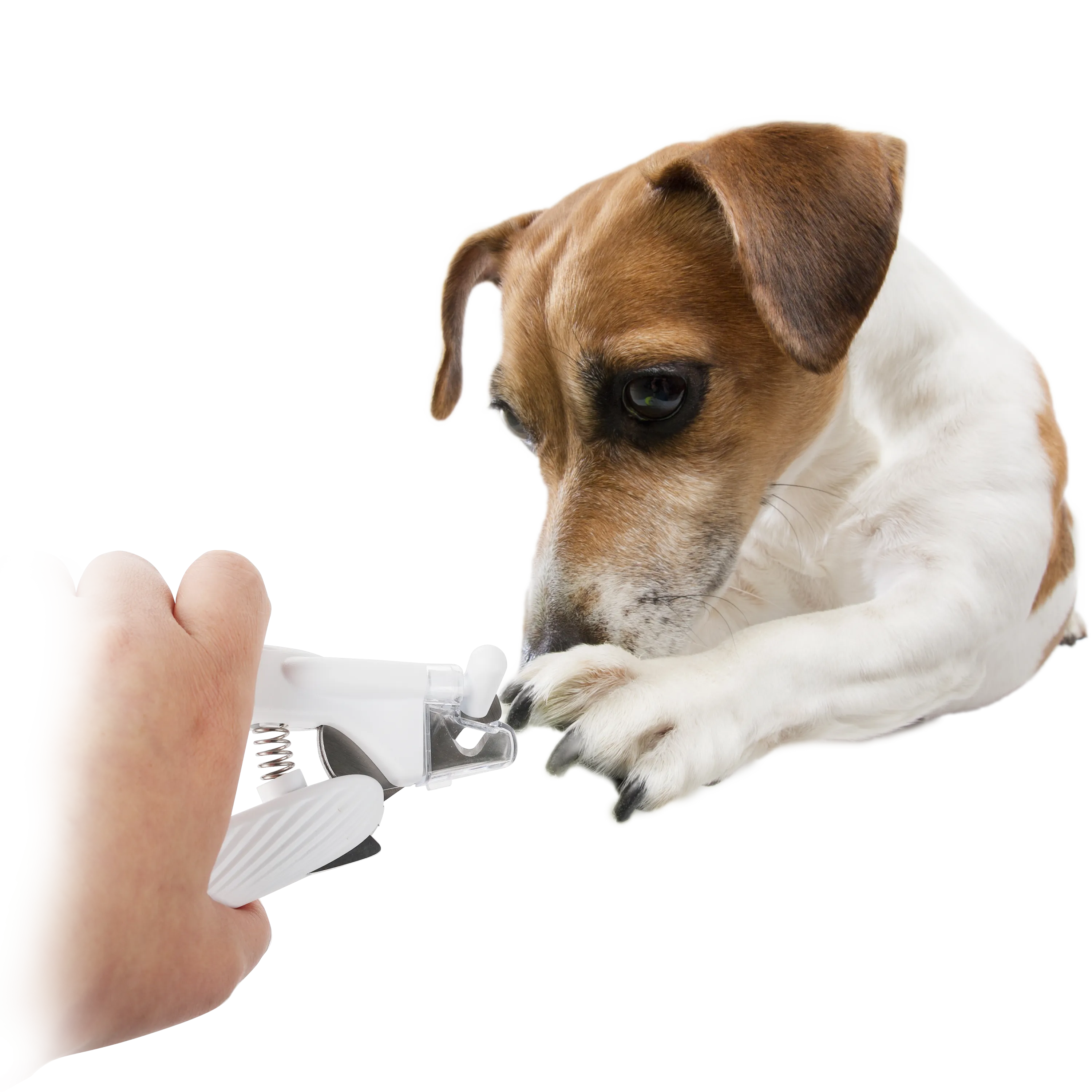 AFP Pet Salon - LED Nail Clipper
