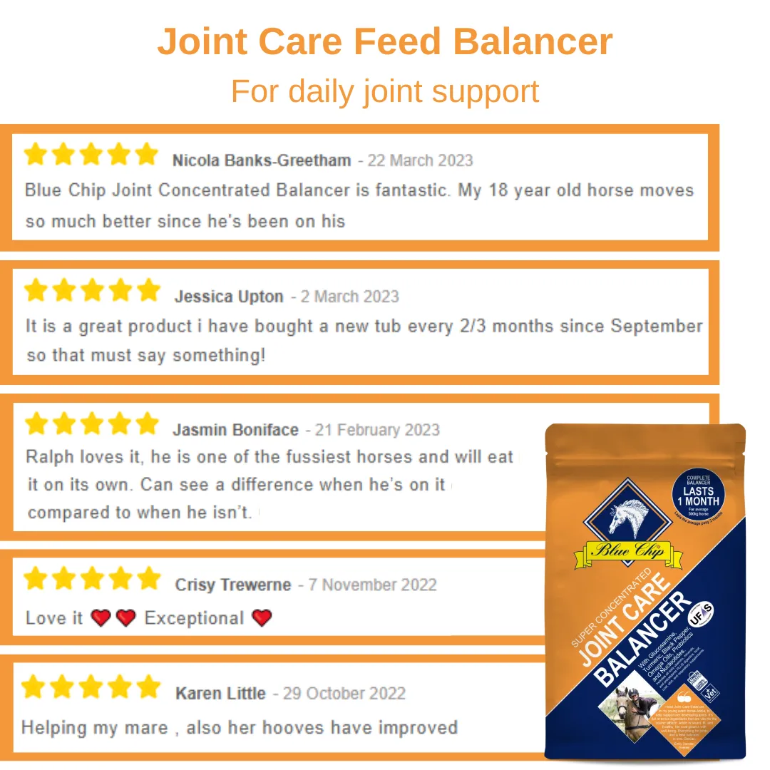 Blue Chip Feed Joint Care Super Concentrated Feed Balancer