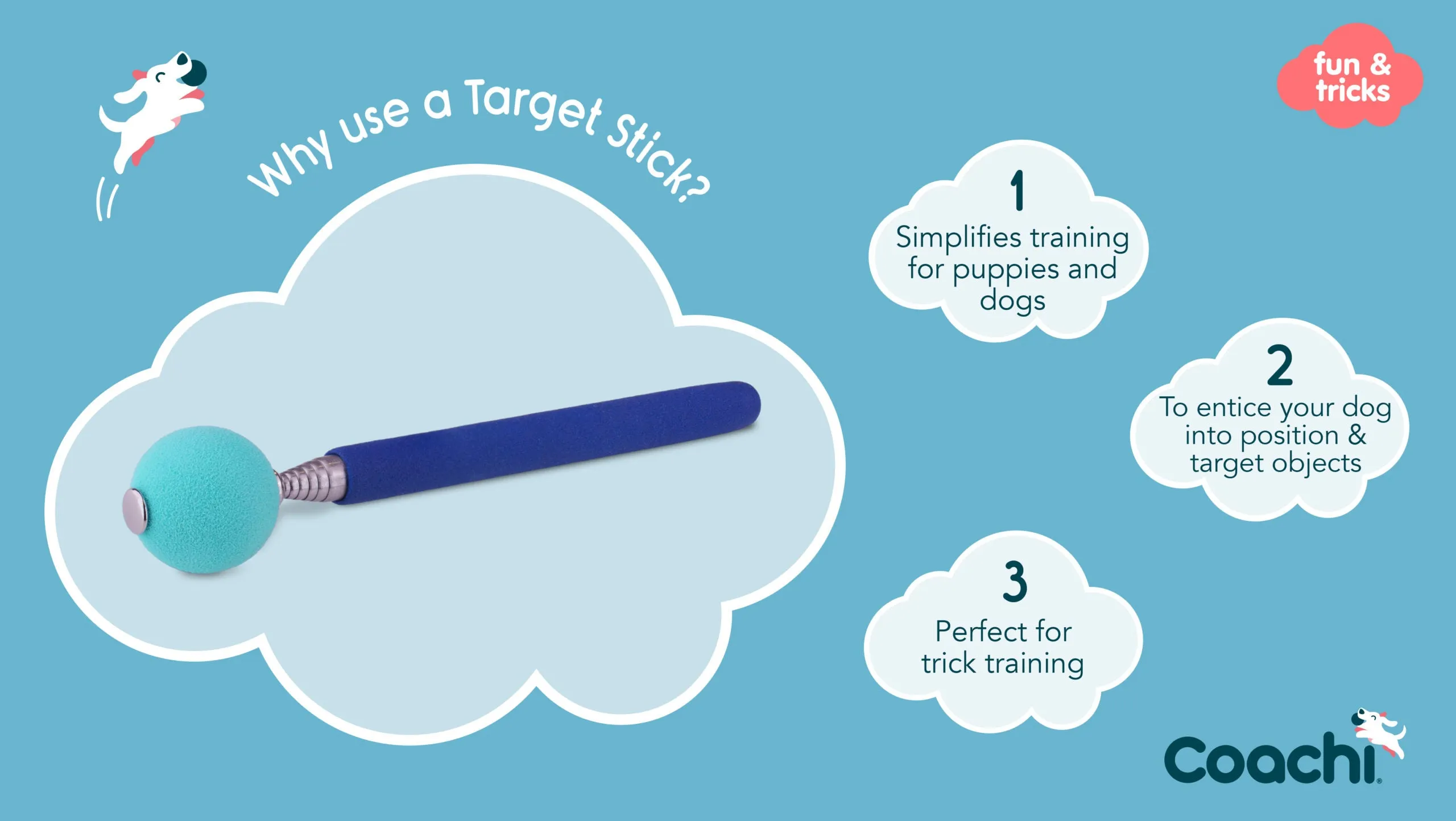 Coachi Target Stick