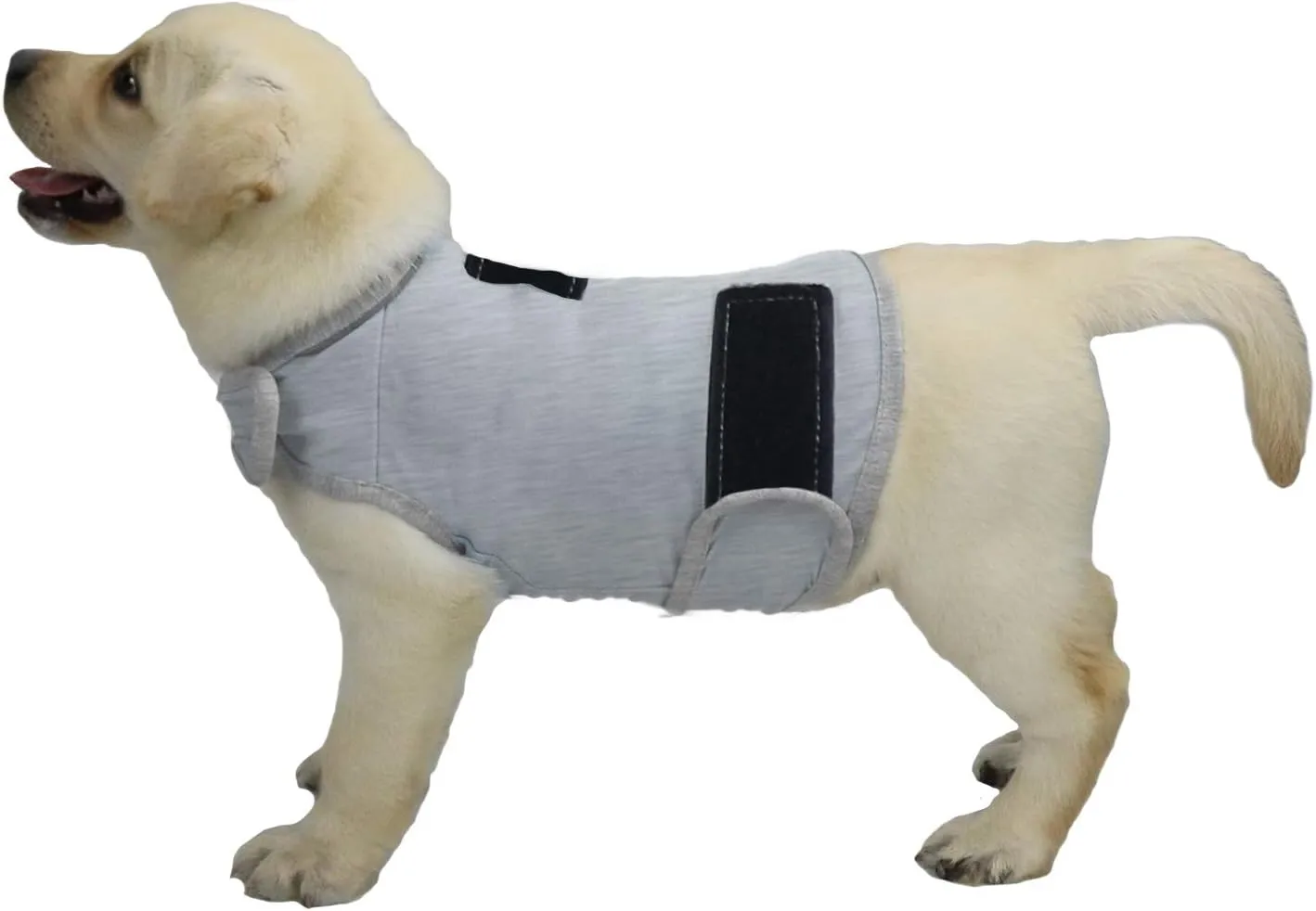 Comfort Dog Anxiety Relief Coat, Dog Anxiety Calming Vest Wrap for Thunderstorm,Travel,4th of July Fireworks,Vet Visits,Separation Anxiety Relief for Dogs (S, Light Gray)