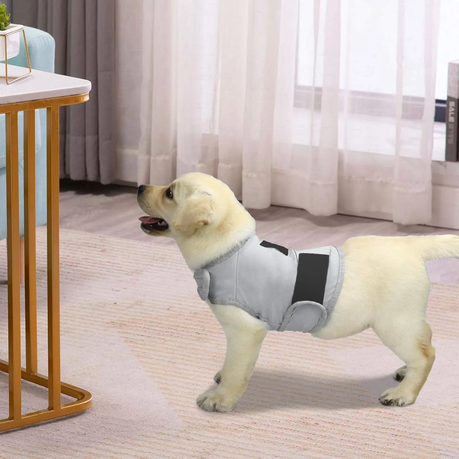 Comfort Dog Anxiety Relief Coat, Dog Anxiety Calming Vest Wrap for Thunderstorm,Travel,4th of July Fireworks,Vet Visits,Separation Anxiety Relief for Dogs (S, Light Gray)