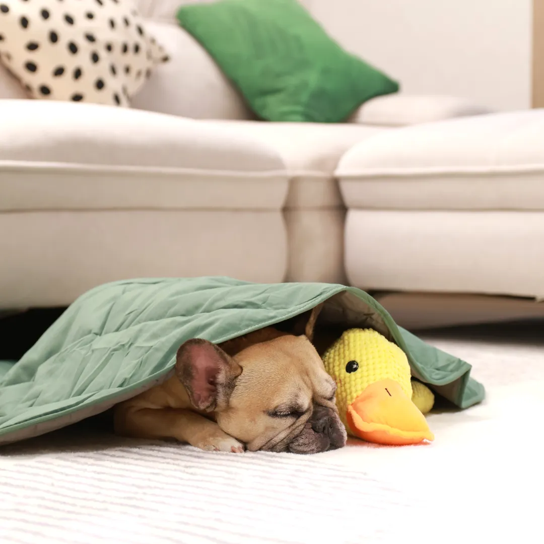 Cozy Combo (Mellow Mat   Calming Duck)