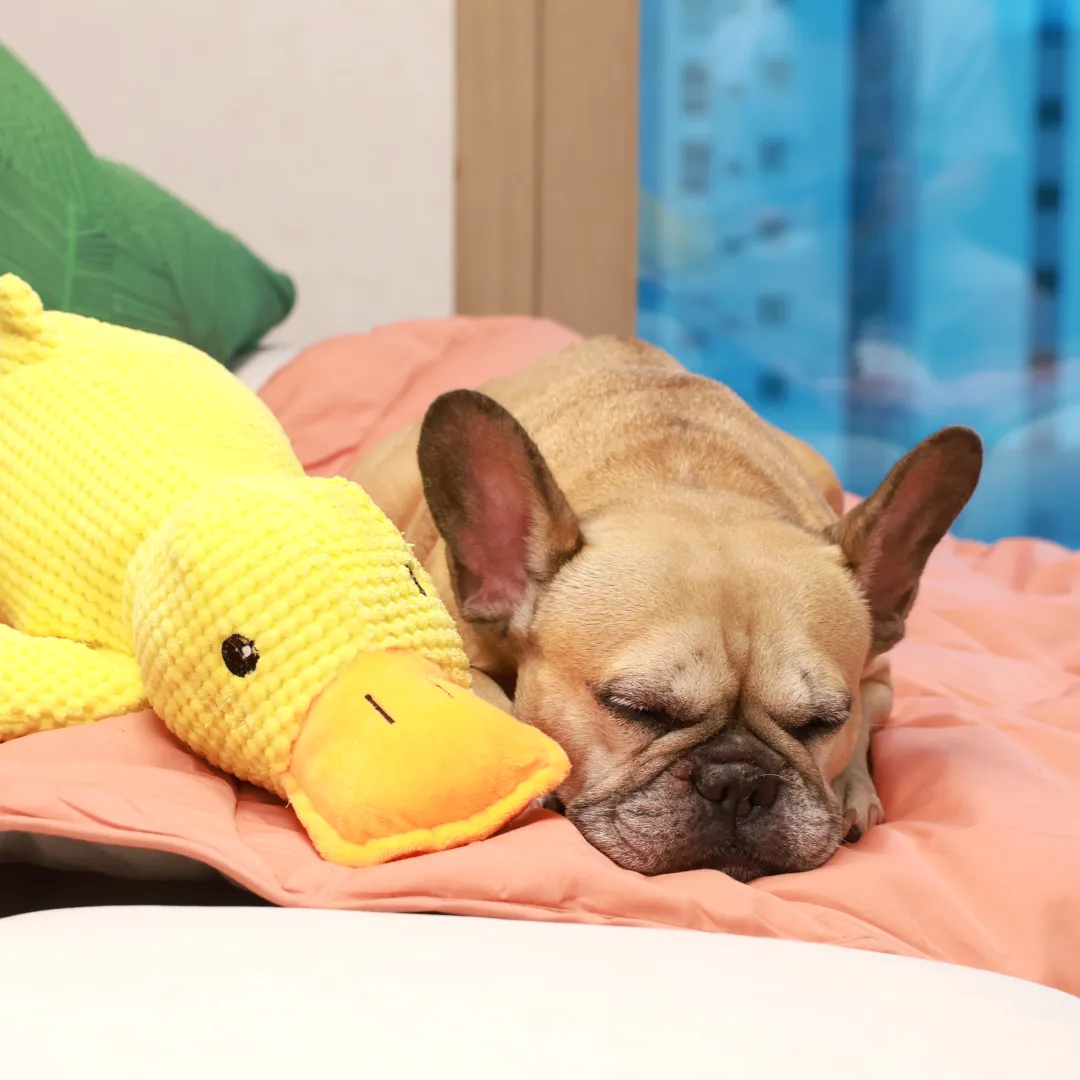 Cozy Combo (Mellow Mat   Calming Duck)