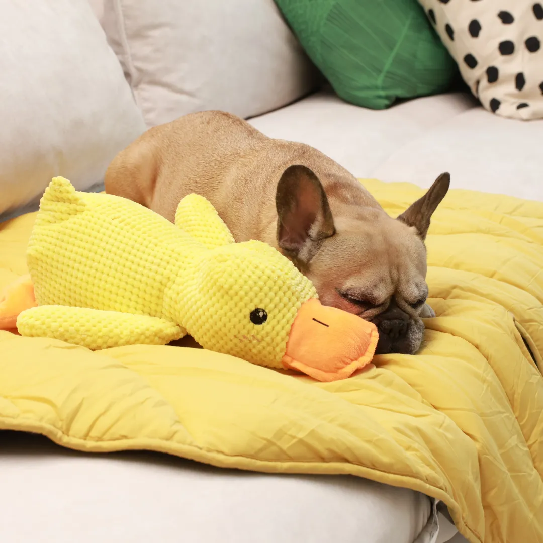 Cozy Combo (Mellow Mat   Calming Duck)