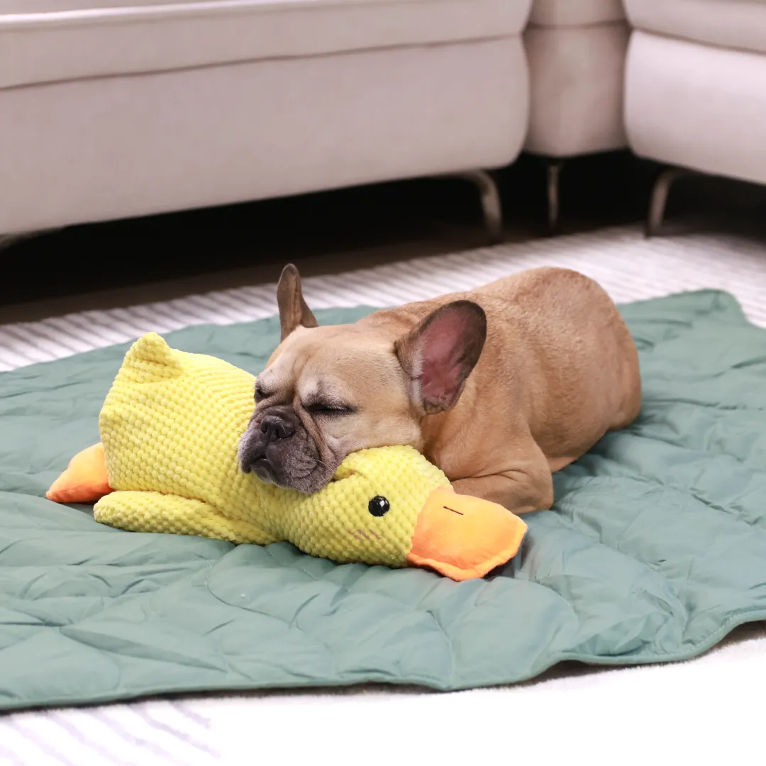 Cozy Combo (Mellow Mat   Calming Duck)