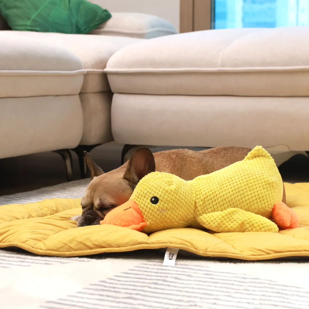 Cozy Combo (Mellow Mat   Calming Duck)