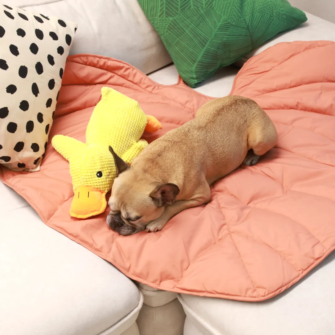 Cozy Combo (Mellow Mat   Calming Duck)