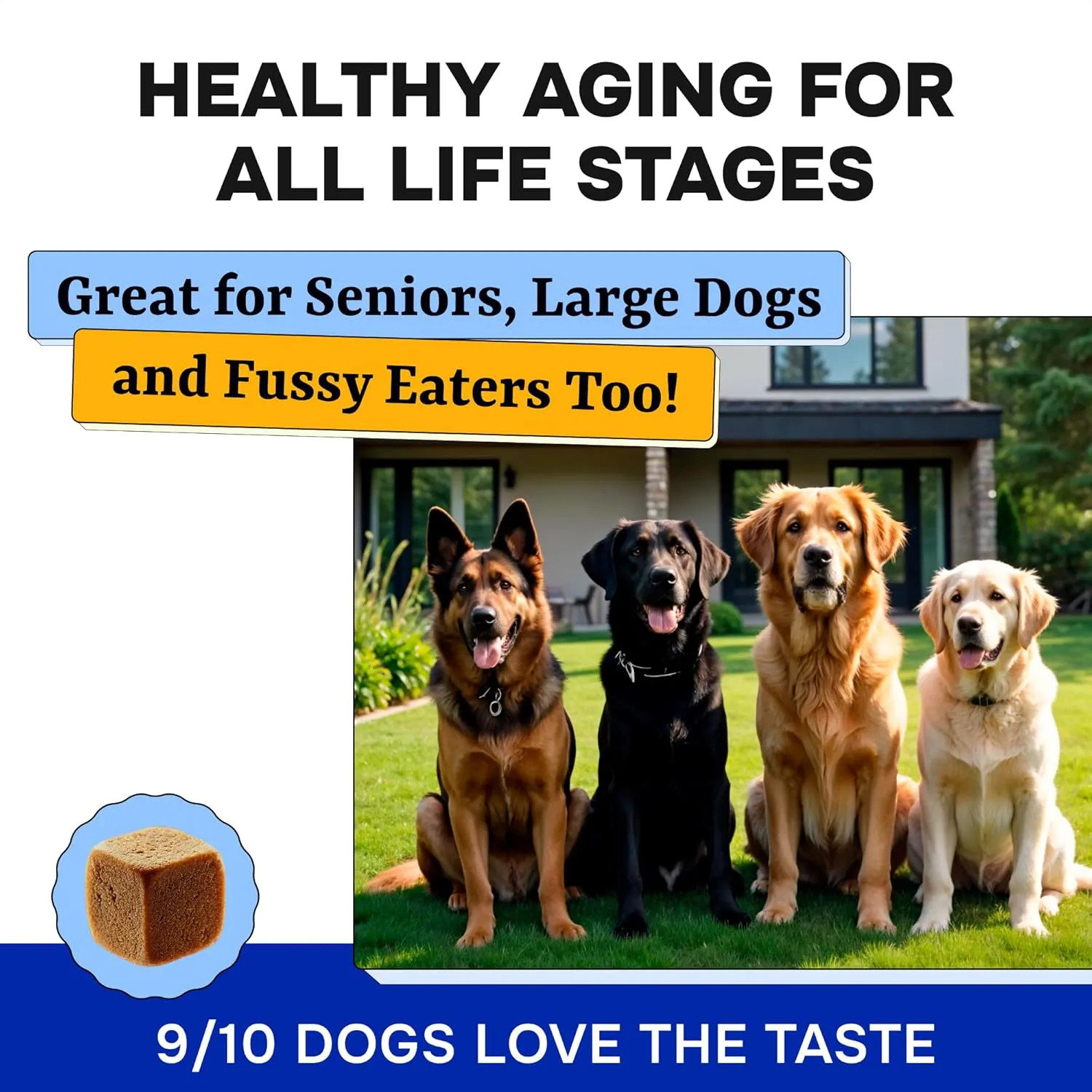 Dog Vitamins   Glucosamine - Chewable Multivitamins   Probiotics, Omega - Hip & Joint Support, Skin & Coat, Gut Health - Adult & Senior - Large & Small Breed - 120 Chews