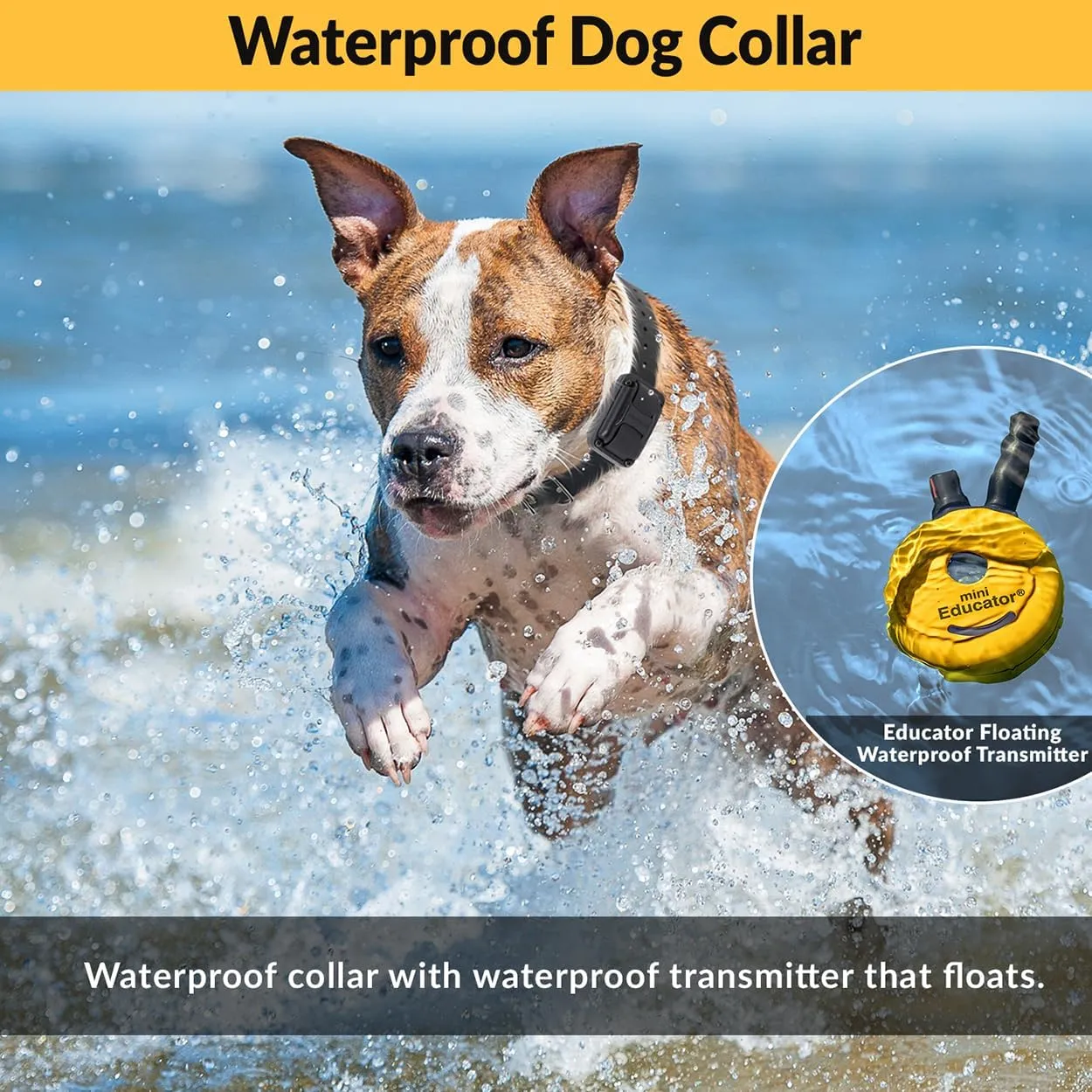 E-Collar  Educator ET-300-1/2 Mile Waterproof Remote Dog Training Collar Includes Premium Finger Clicker Trainer, 100 Programmable Levels   Vibration   Light   Sound