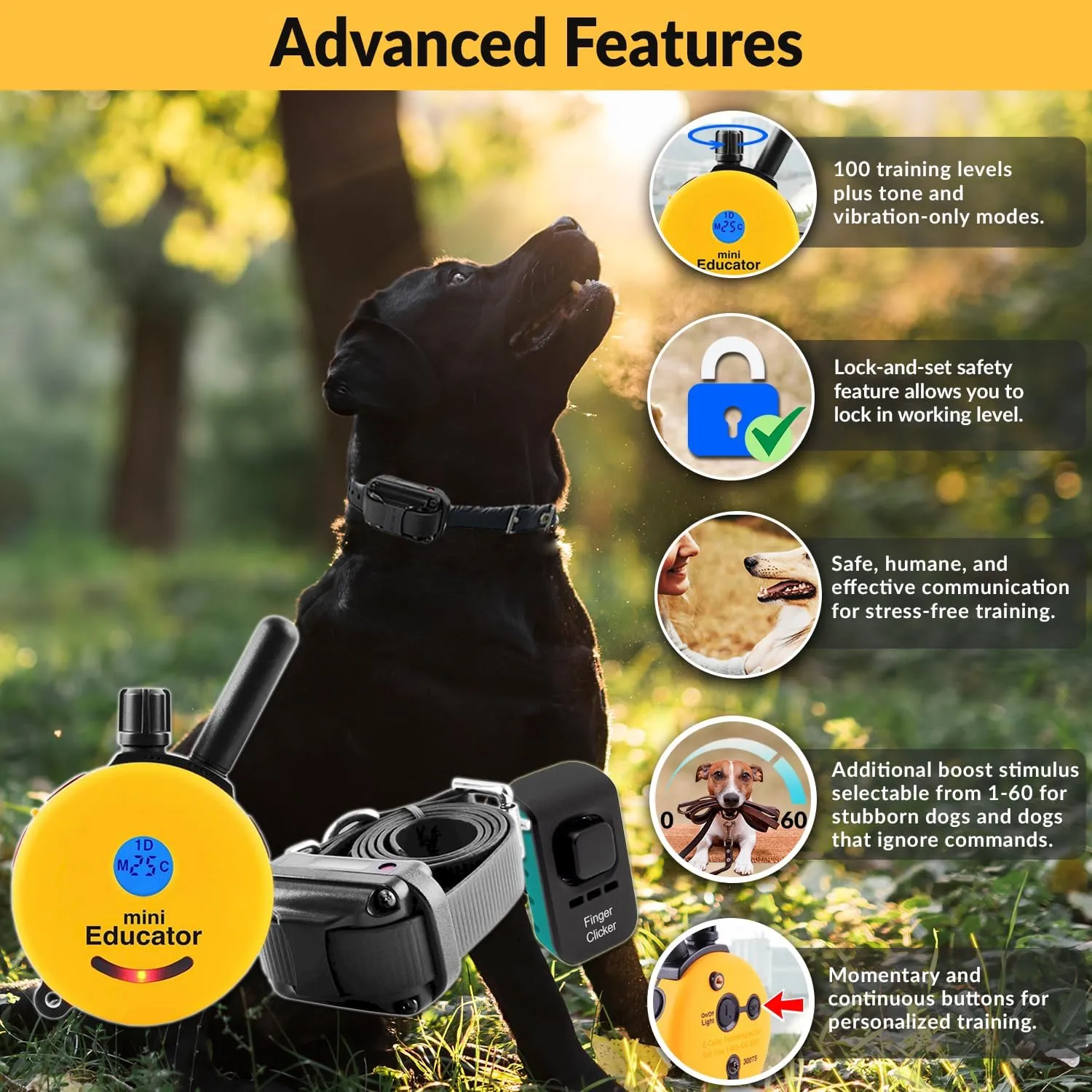 E-Collar  Educator ET-300-1/2 Mile Waterproof Remote Dog Training Collar Includes Premium Finger Clicker Trainer, 100 Programmable Levels   Vibration   Light   Sound