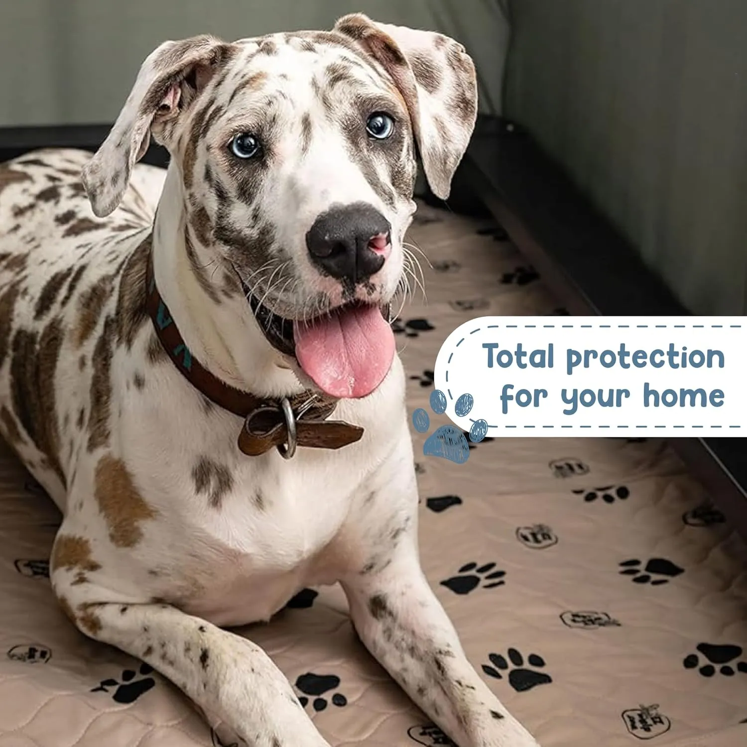 EZwhelp Reusable Dog Pee Pads, Washable Waterproof Mats for Potty Training or Whelping Pads, Puppy Pad with Rounded Corners, 20x25 Inch, 2 Pack