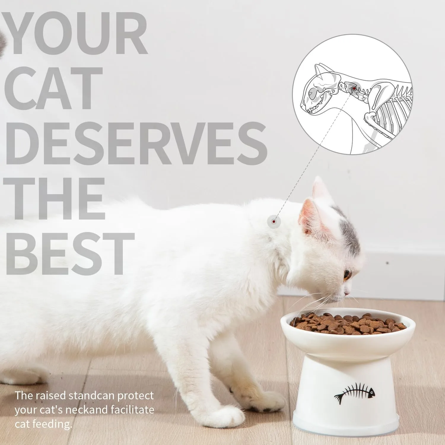 FOREYY Raised Cat Food and Water Bowl Set, Whisker Friendly Elevated Ceramic Cats Feeder Bowls with Anti Slip Ring, Anti-Vomiting Shallow High Porcelain Pet Kitten Dish, Dishwasher Safe(White)