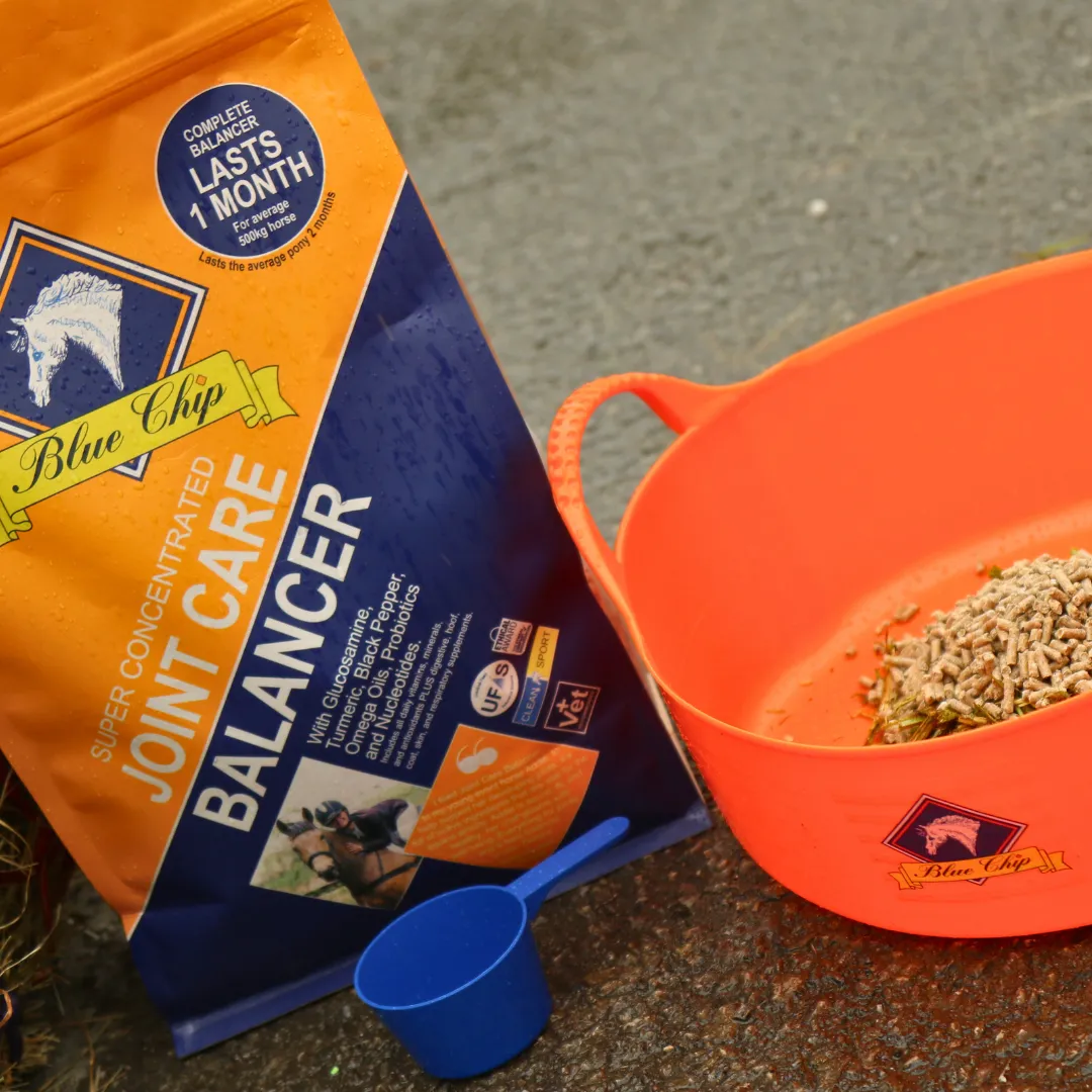 Joint Care Super Concentrated Feed Balancer - For daily joint support