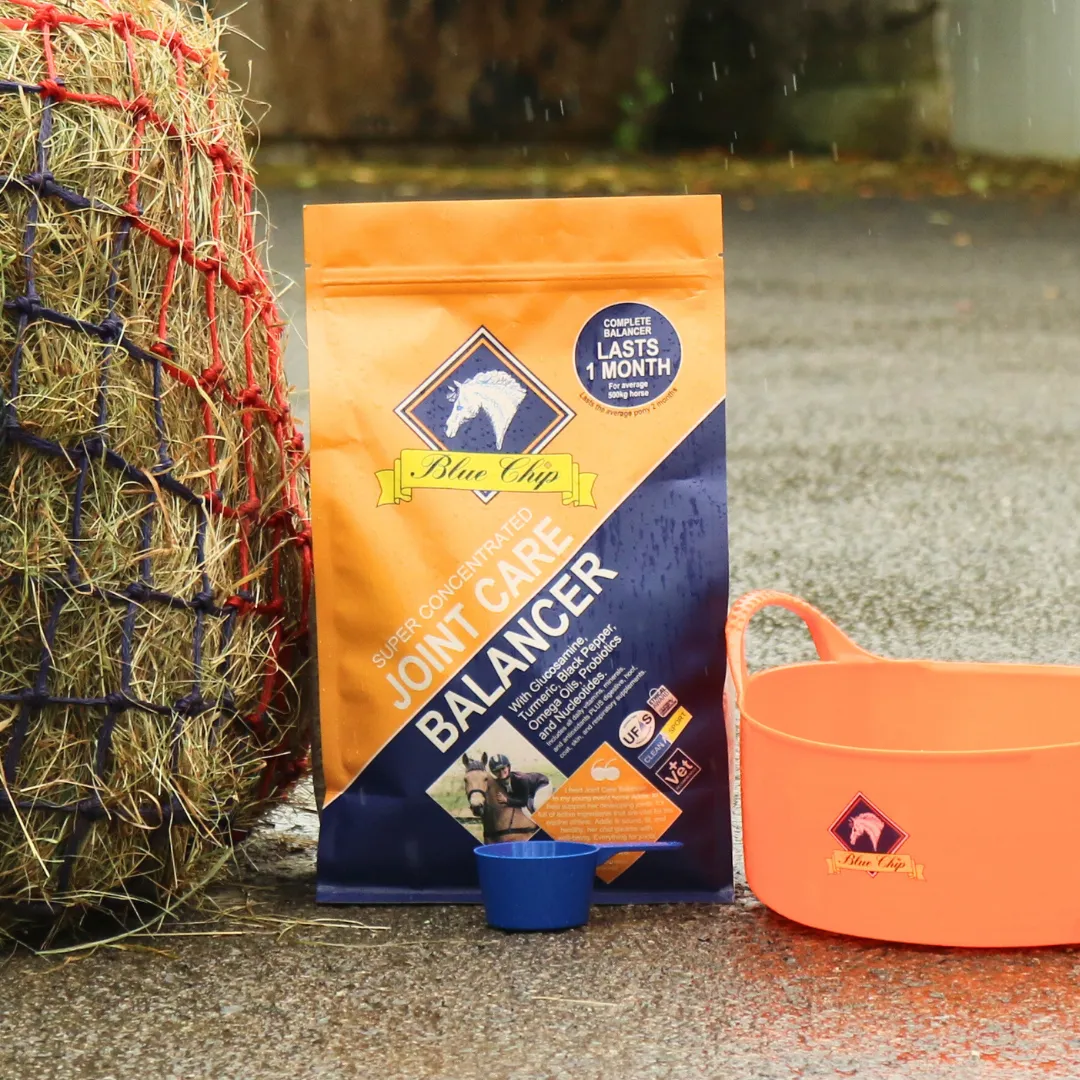 Joint Care Super Concentrated Feed Balancer - For daily joint support
