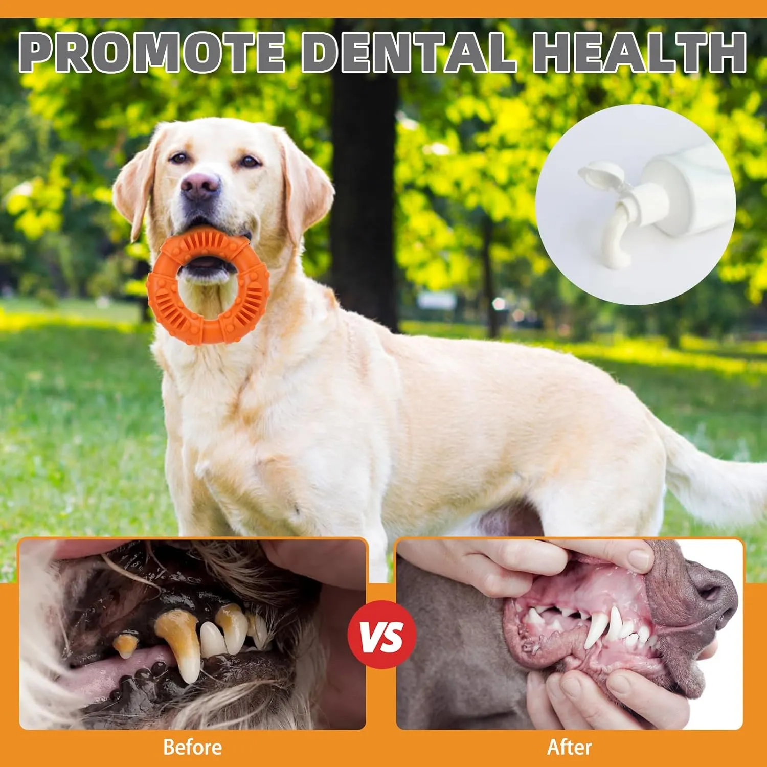 KOOLTAIL Dog Chew Toys for Aggressive Chewers, 3 Pack Durable Tough Bone for Teeth Cleaning, Non-Toxic Rubber Indestructible Dog Toys, Funny Puzzle Dog Toy for Small Medium Large Breed Dogs Best Gift