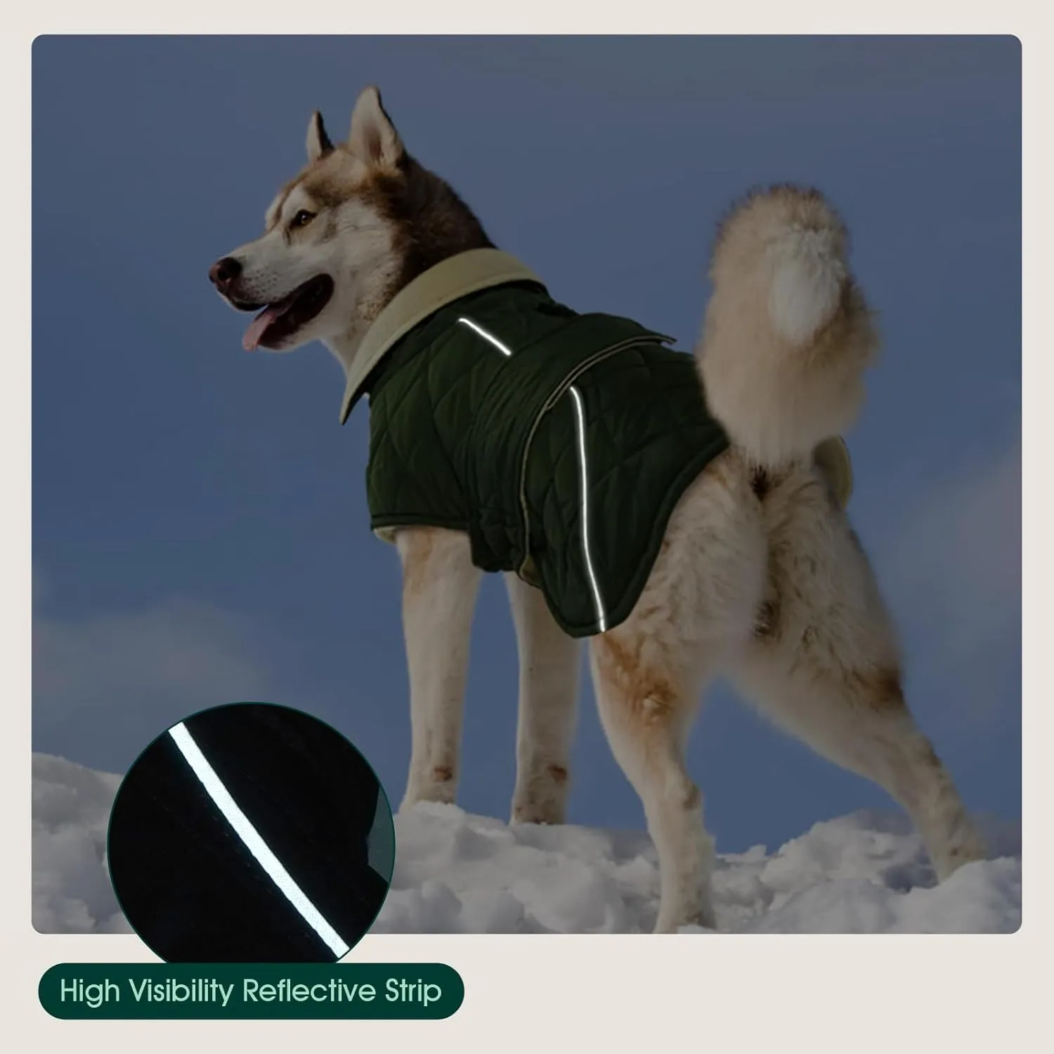 Kuoser Extra Warm Dog Coat, Windproof Cold Weather Jacket for Small Dogs, Fleece Lining Turtleneck Snowsuit With Reflective Adjustable Winter Clothes, Green S