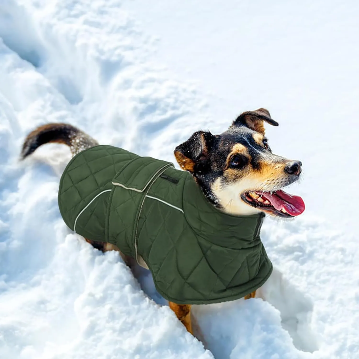 Kuoser Extra Warm Dog Coat, Windproof Cold Weather Jacket for Small Dogs, Fleece Lining Turtleneck Snowsuit With Reflective Adjustable Winter Clothes, Green S