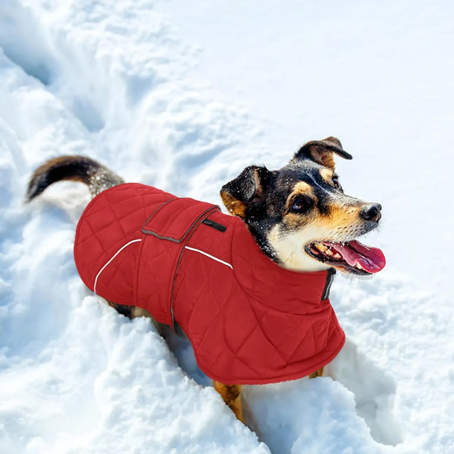 Kuoser Extra Warm Dog Coat, Windproof Cold Weather Jacket for Small Dogs, Fleece Lining Turtleneck Snowsuit With Reflective Adjustable Winter Clothes, Red S