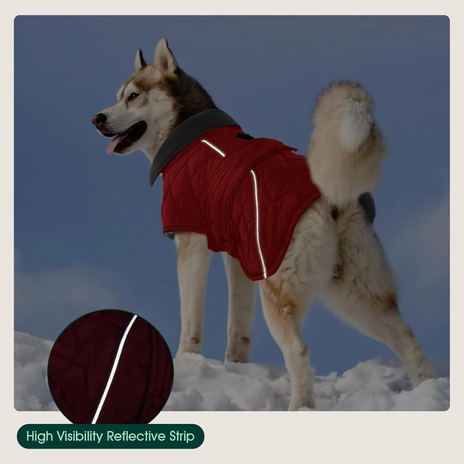 Kuoser Extra Warm Dog Coat, Windproof Cold Weather Jacket for Small Dogs, Fleece Lining Turtleneck Snowsuit With Reflective Adjustable Winter Clothes, Red S