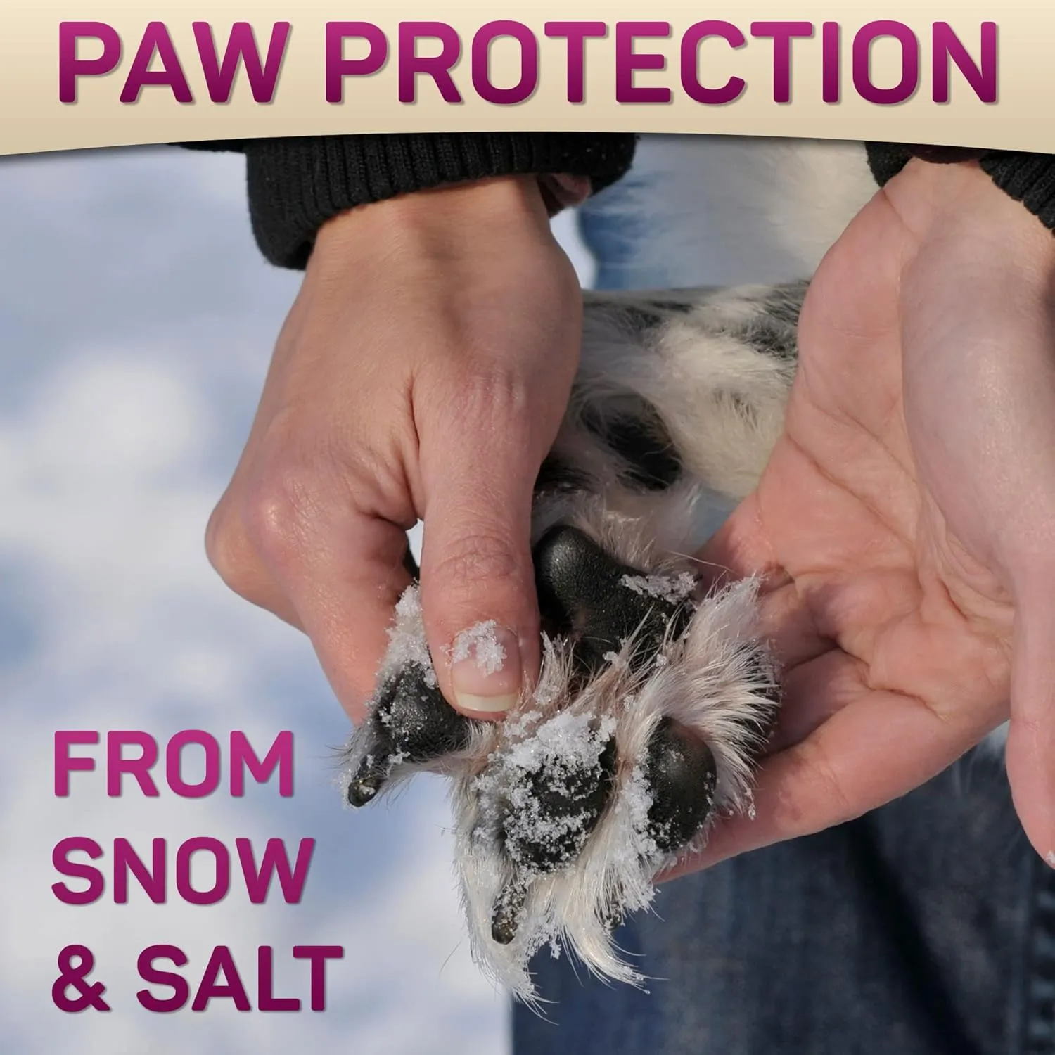 Natural Revitalizing Dog Paw Pad Balm & Nose - 60g Lick Safe Moisturizer for Cracked Paws Protection, Nourish Repair Damage, Dryness, Heat, Winter Snow With Vitamin E & Aloe - Pet Cat Dogs Wax