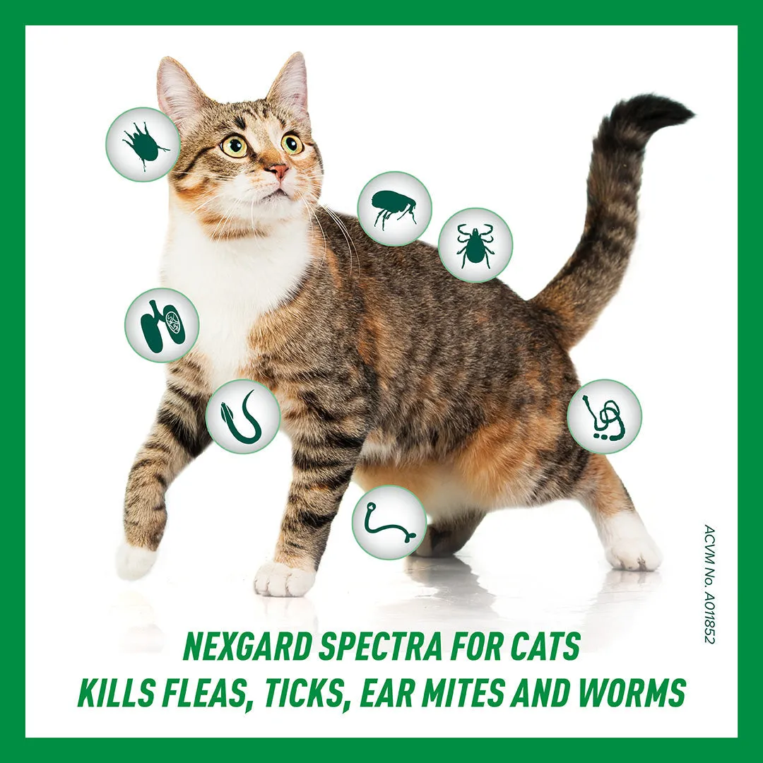NexGard Spectra Spot-On for Cats & Kittens  0.8-2.4kg