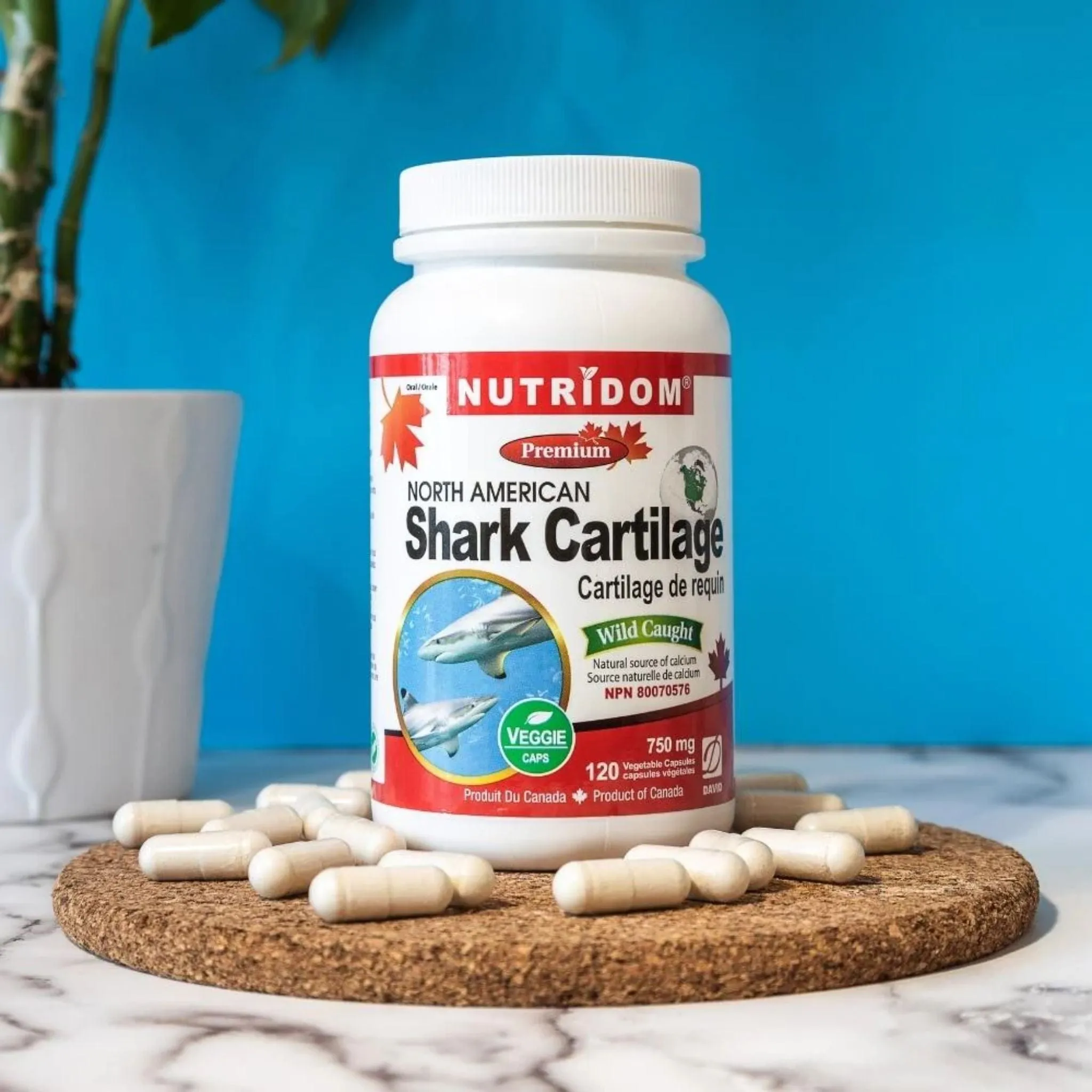 Nutridom Shark Cartilage 750mg, North American, Wild Caught, 120 Vegetable Capsules