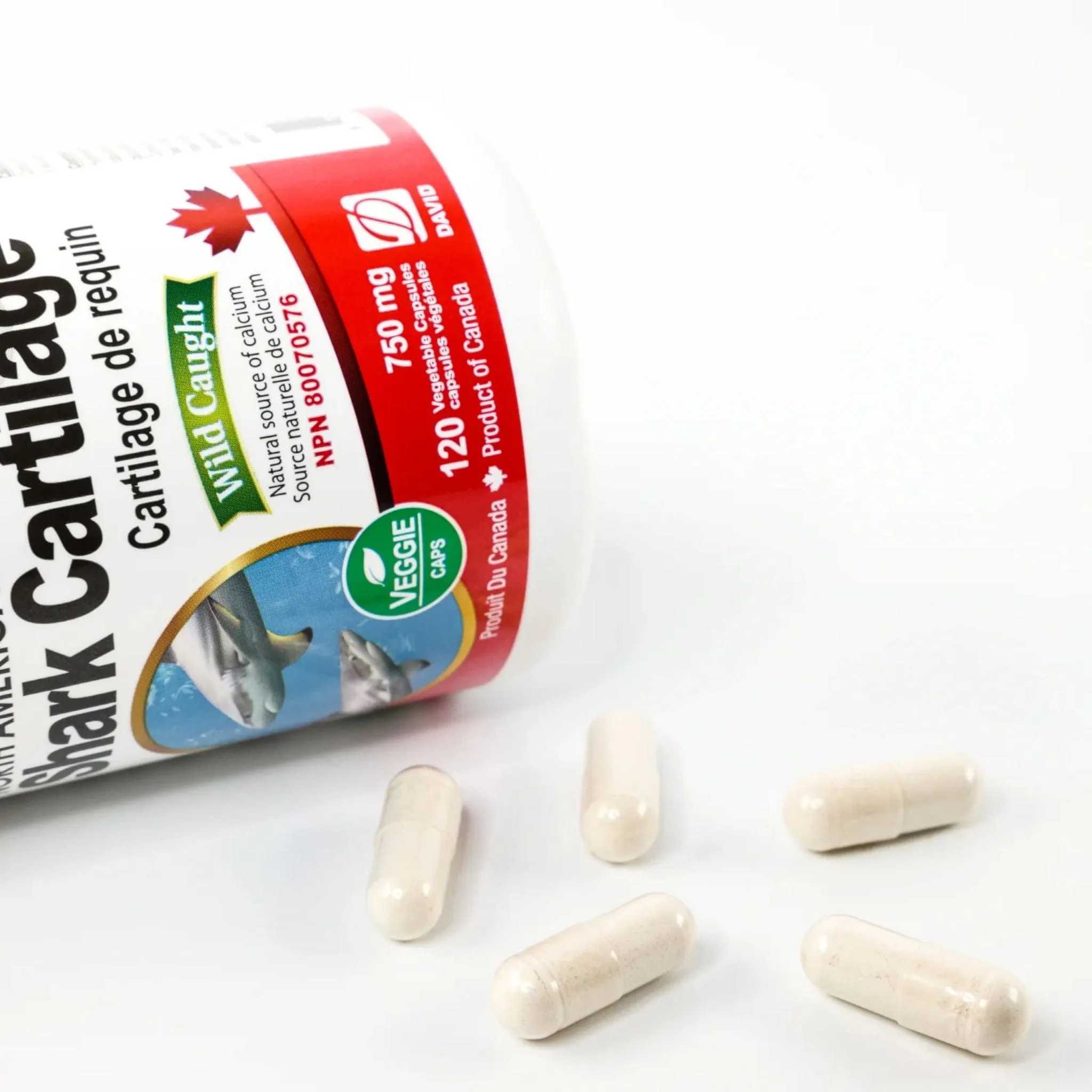 Nutridom Shark Cartilage 750mg, North American, Wild Caught, 120 Vegetable Capsules
