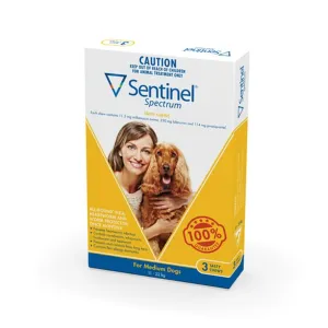 Sentinel Spectrum Medium Yellow
