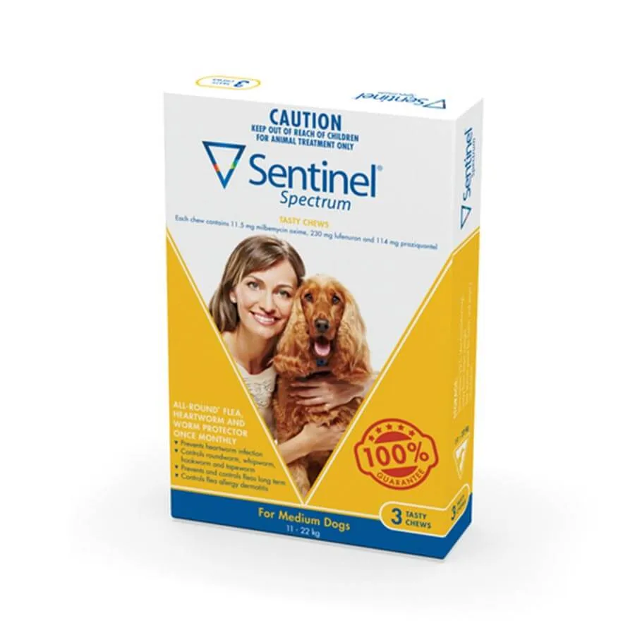 Sentinel Spectrum Medium Yellow
